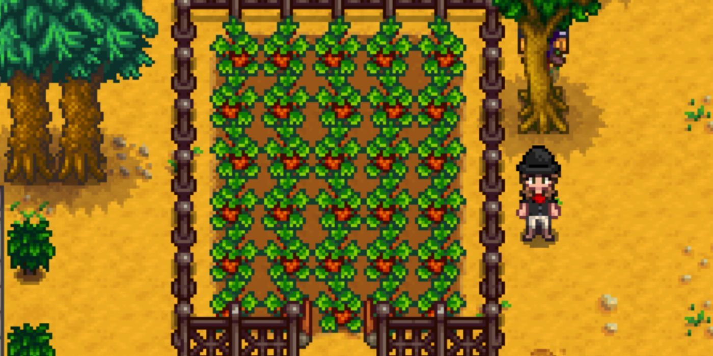 strawberry seeds stardew valley