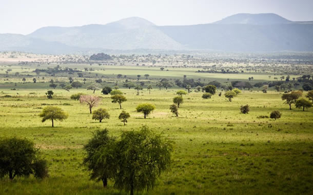 east african game reserve crossword clue