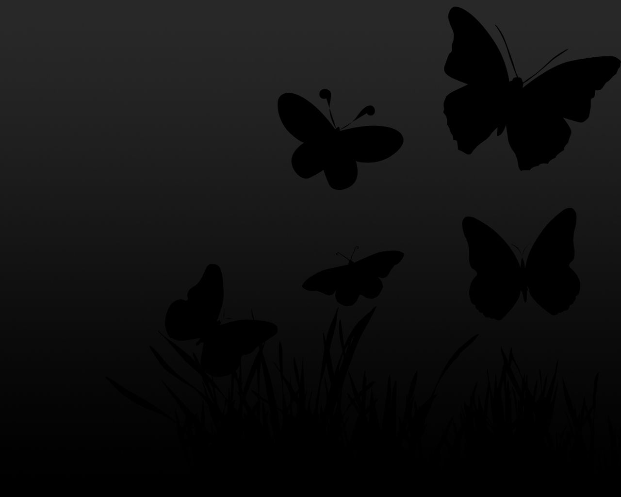 black butterfly wallpaper hd