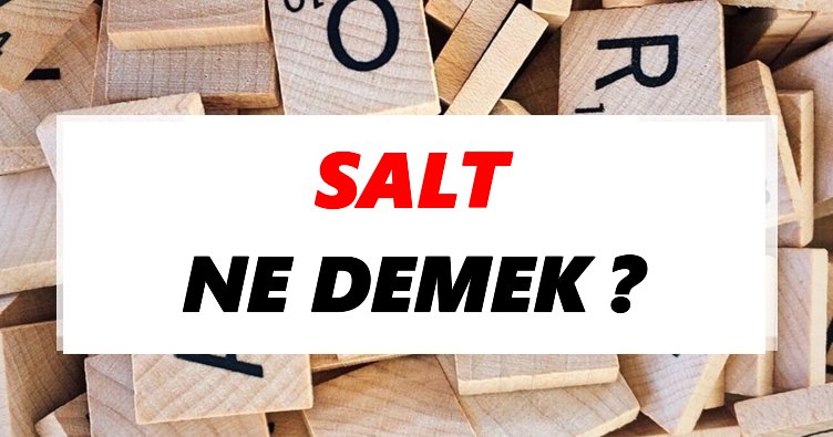 salt ne demek