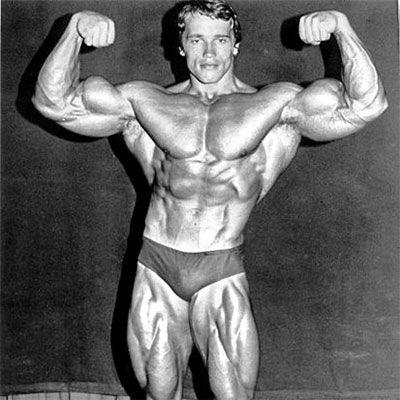 arnold prime weight