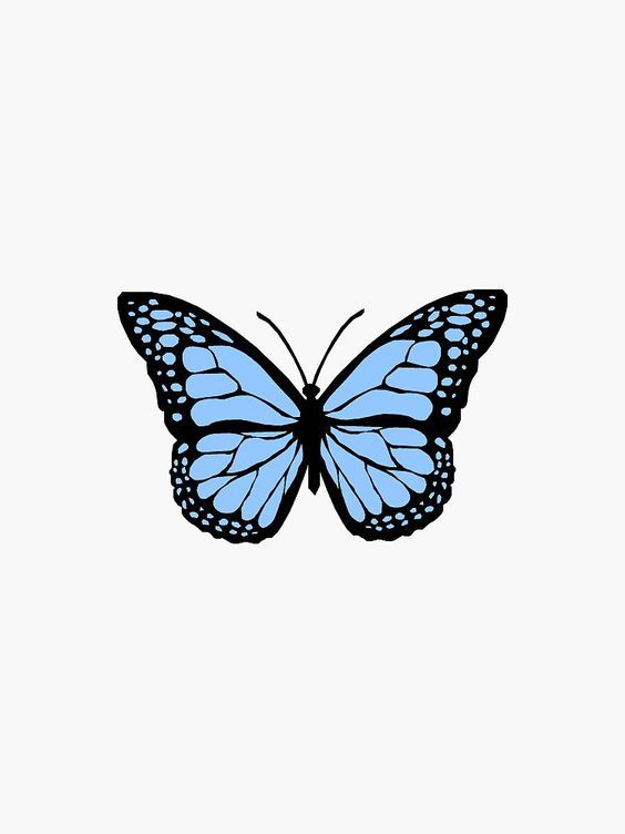 mariposas dibujo aesthetic