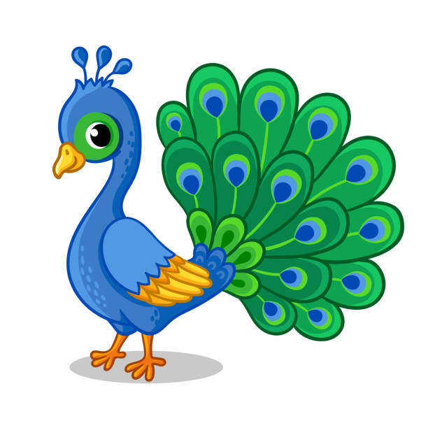 cute peacock cartoon