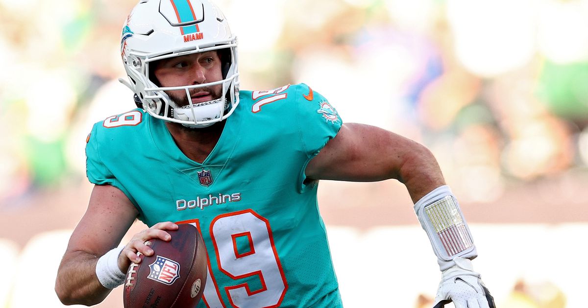 dolphins backup quarterback