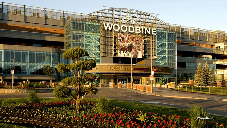 woodbine entertainment