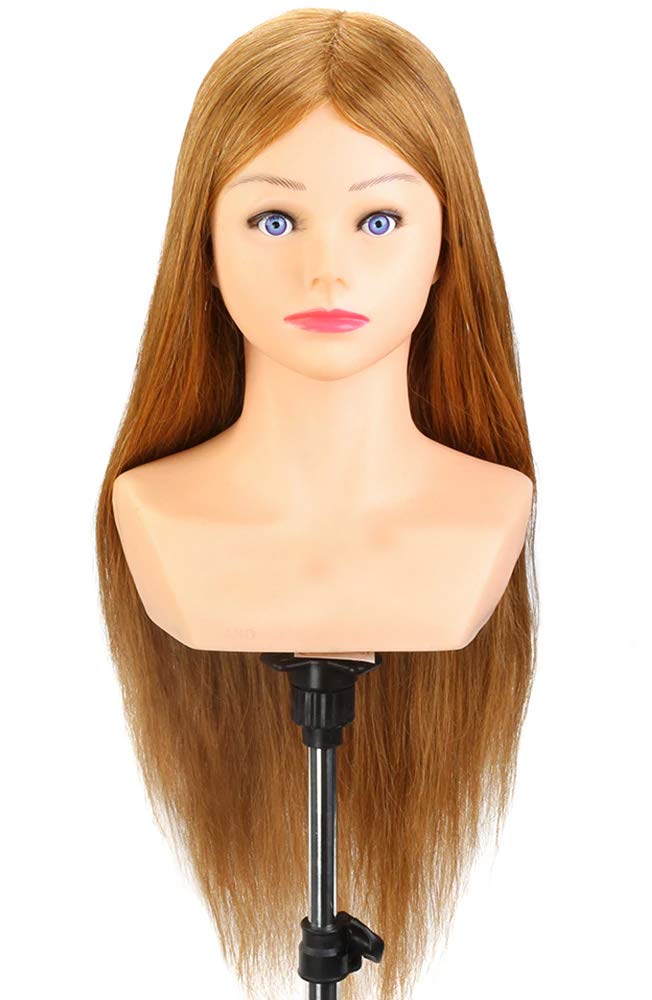 hair dummy price