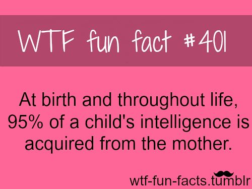 wtf fun facts tumblr