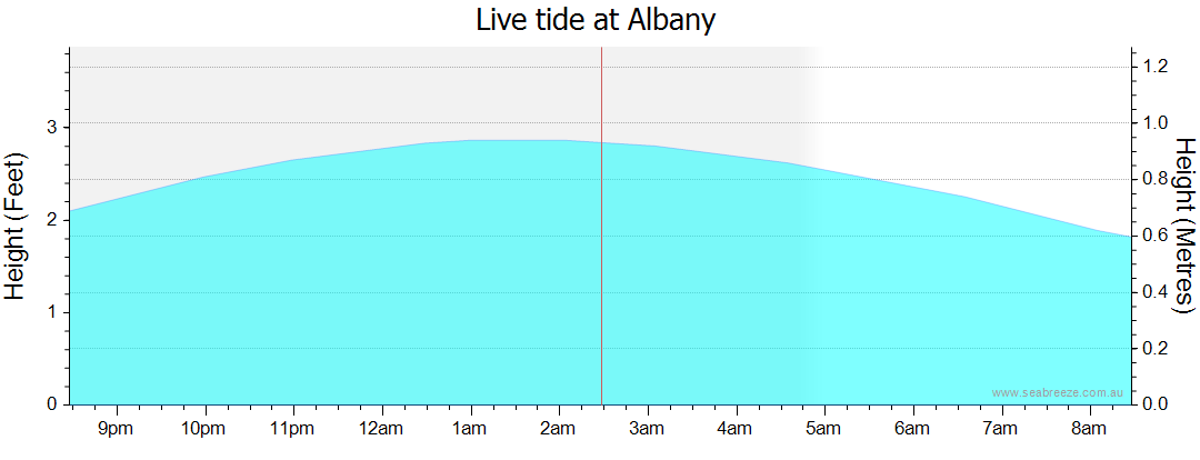 albany tides