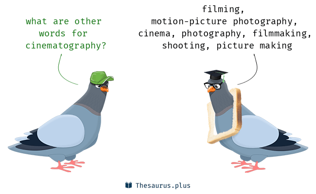 cinematography synonym