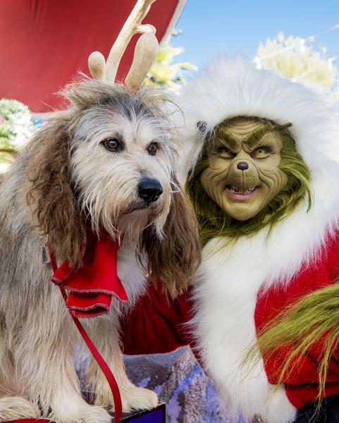 max the dog on the grinch