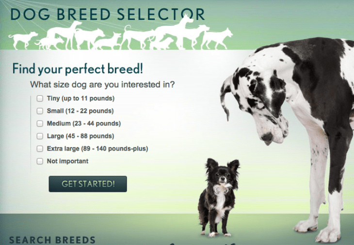 dog breed selector quiz