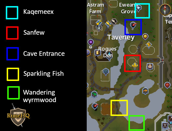 osrs druidic ritual