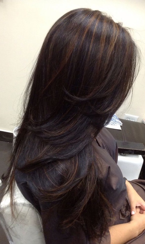 dark brown highlights on black hair indian