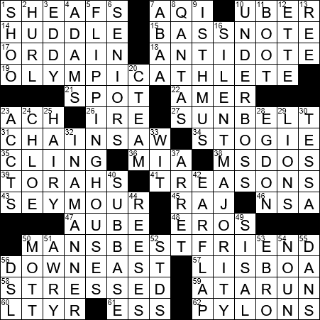 hirsuteness crossword