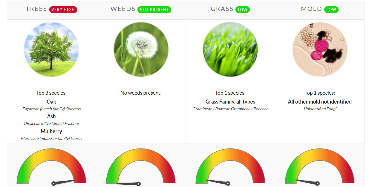 pollen count in bloomington il