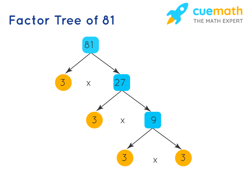 81 prime factor