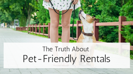 pet friendly rentals