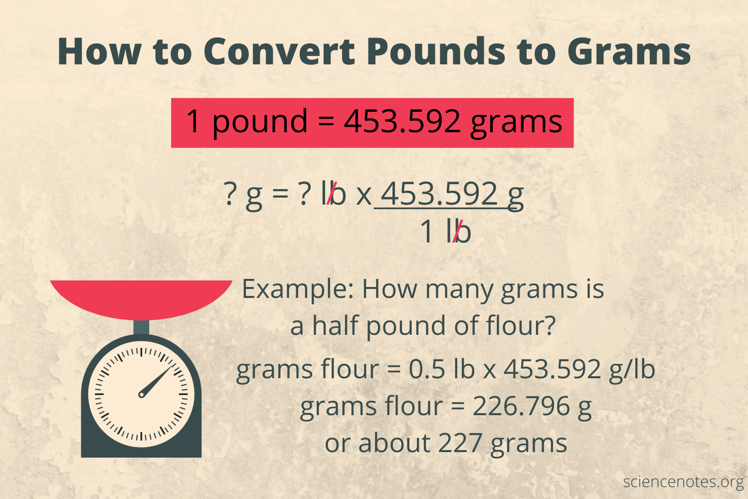 pound to grams