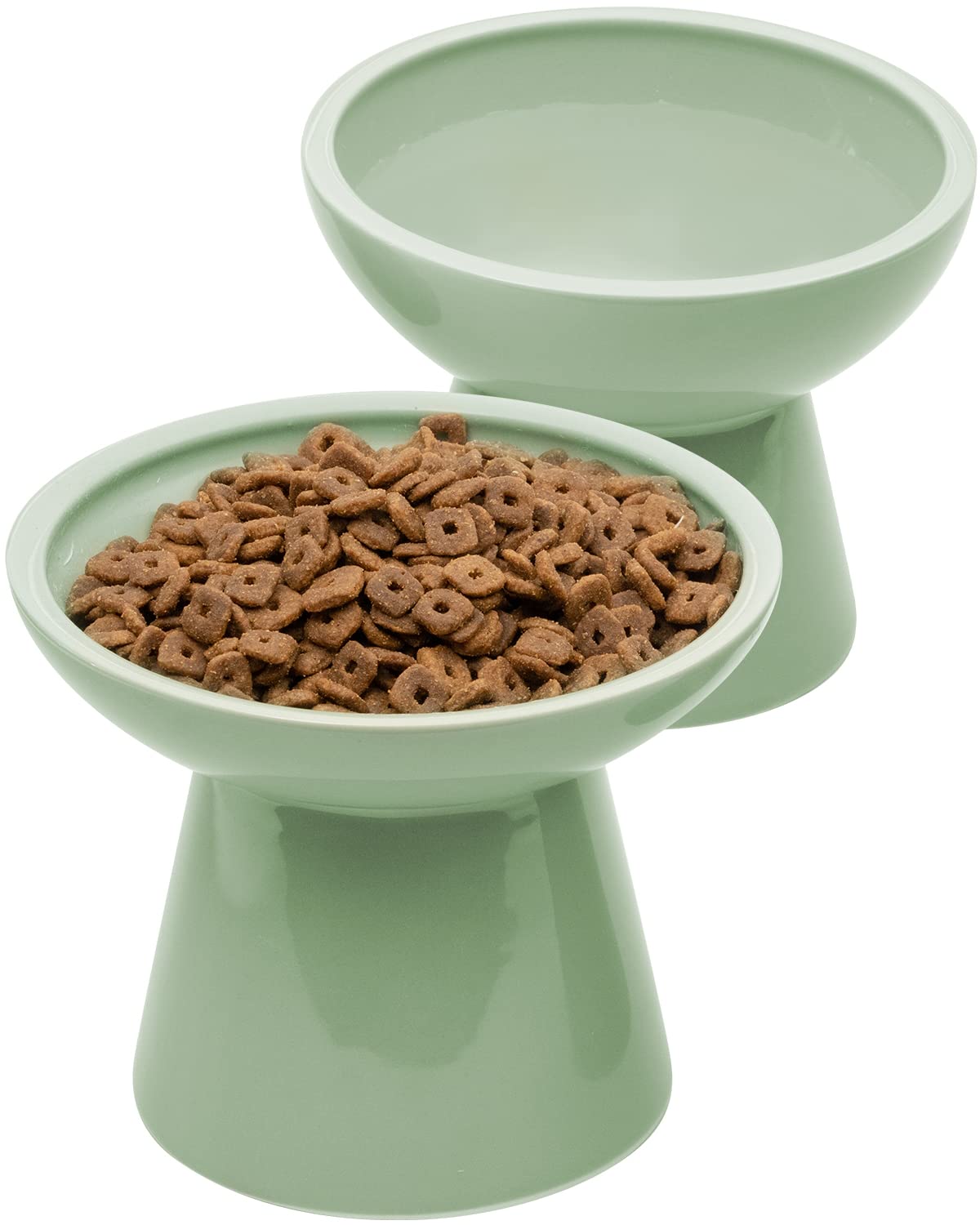 raised ceramic cat bowls