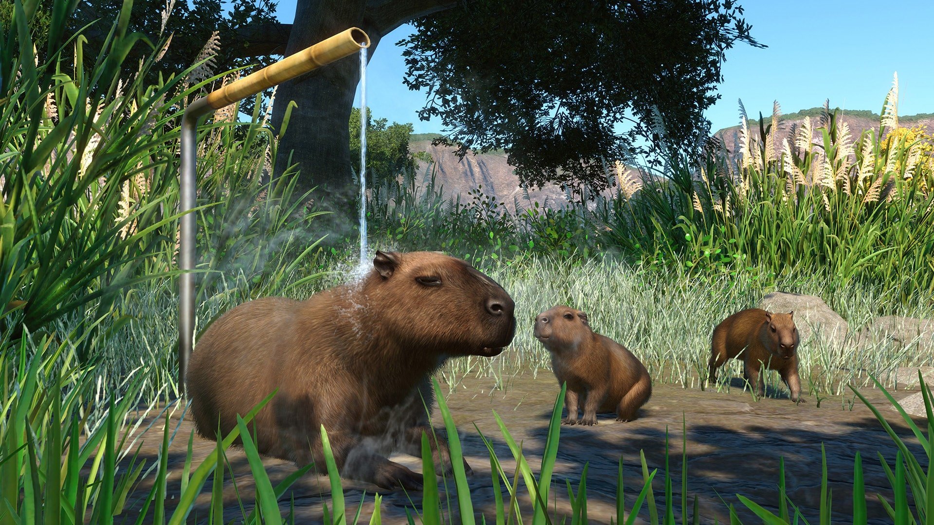 planet zoo