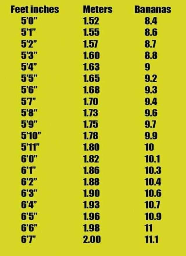 1.68 meters to centimeters