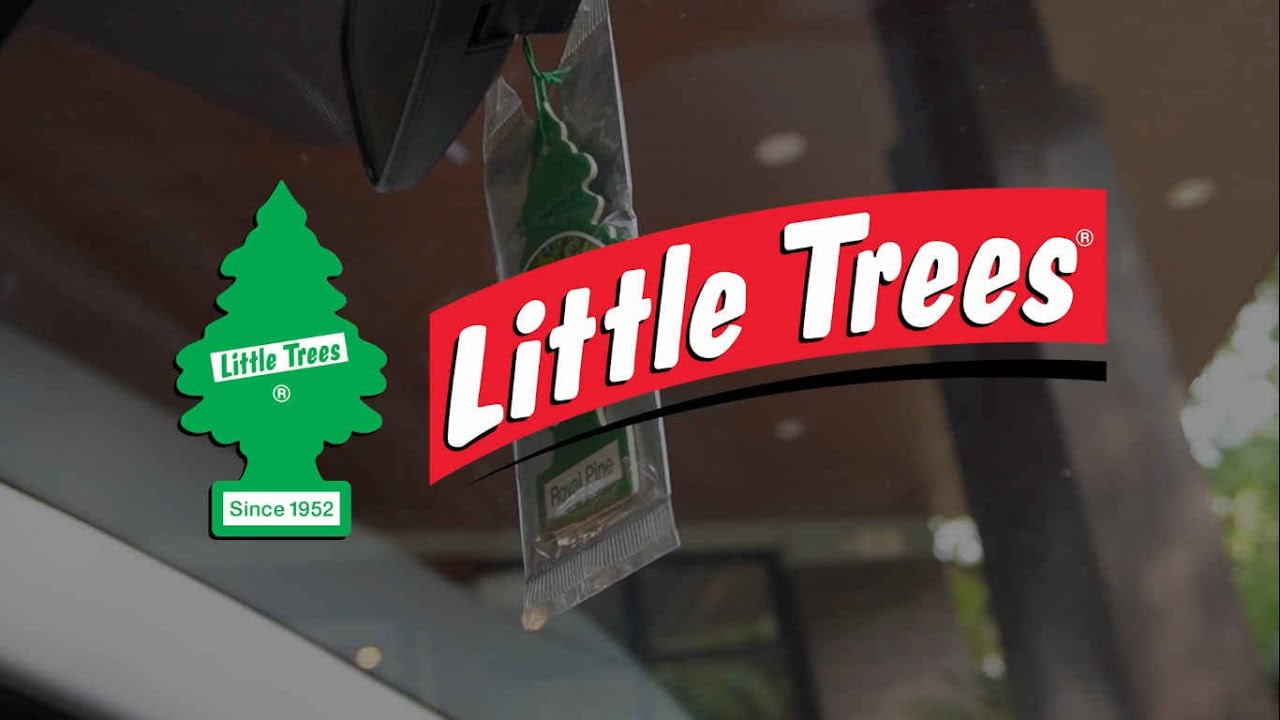 how to put little trees in car