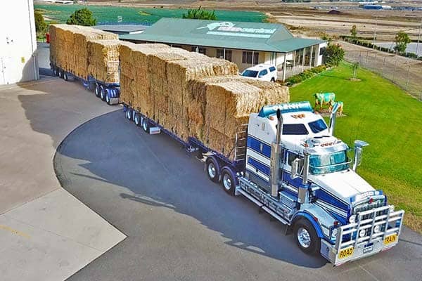 feed central hay for sale