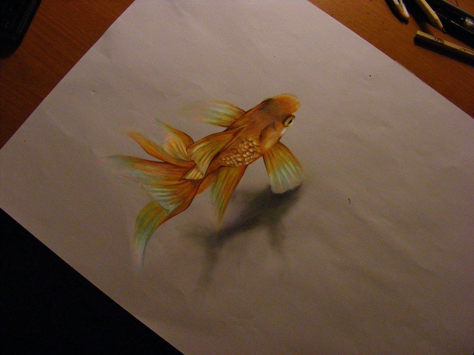 realistic fish drawing colour