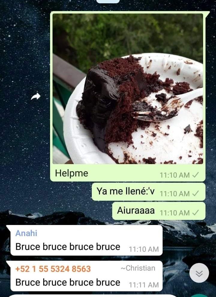 bruce bruce meme