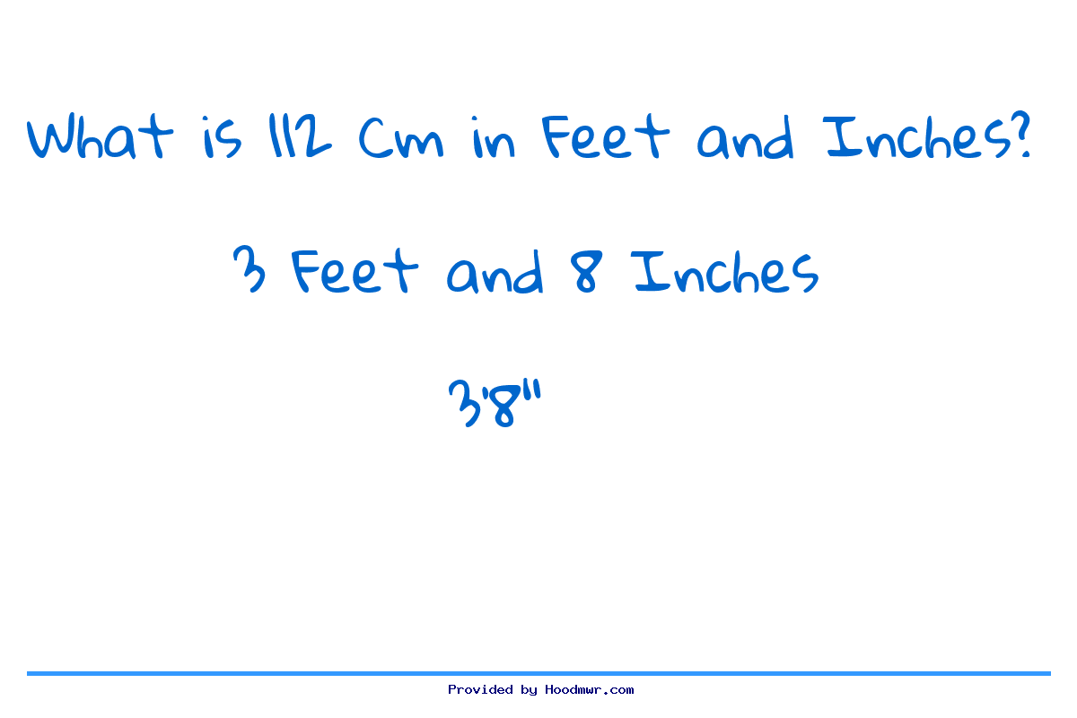 112 cm to inches and feet