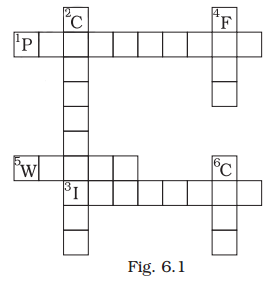 catch fire crossword clue