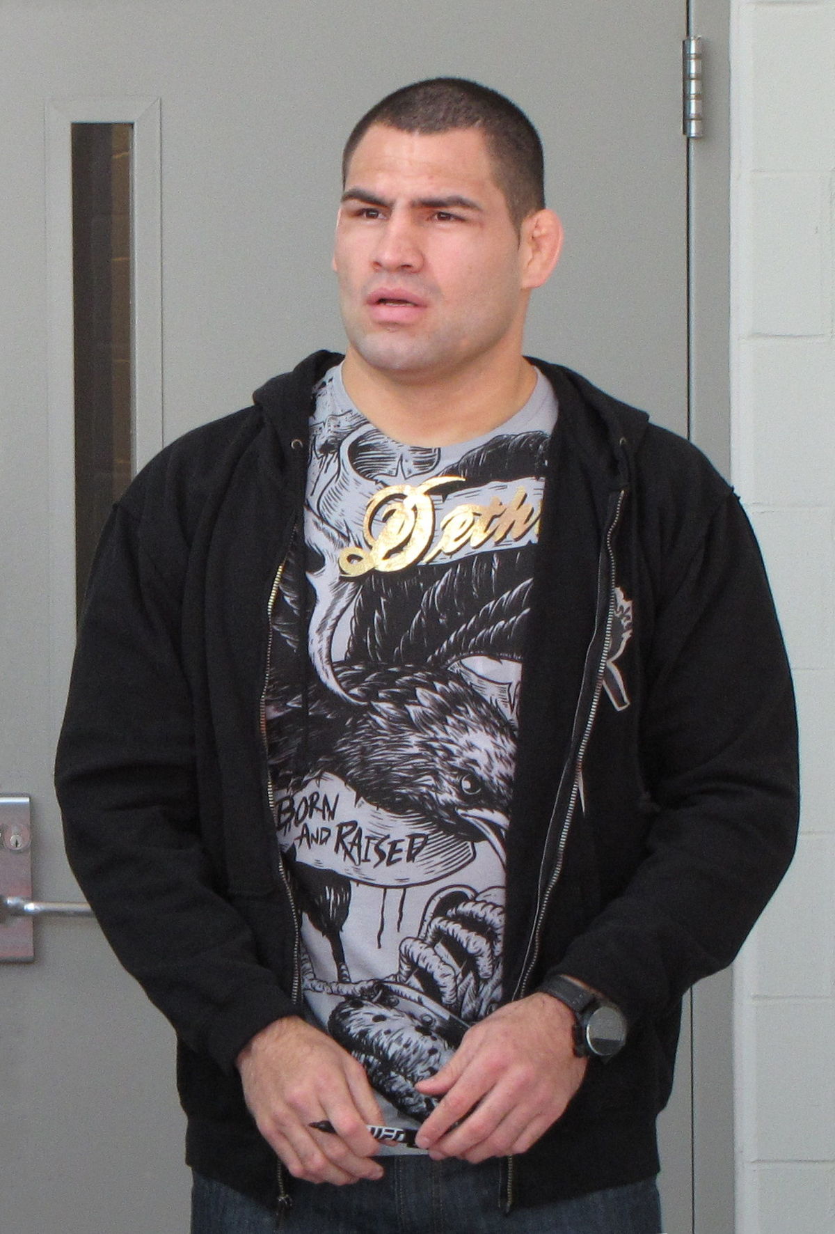 cain velasquez record