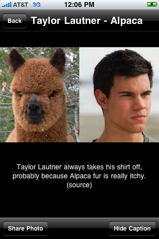 taylor lautner alpaca