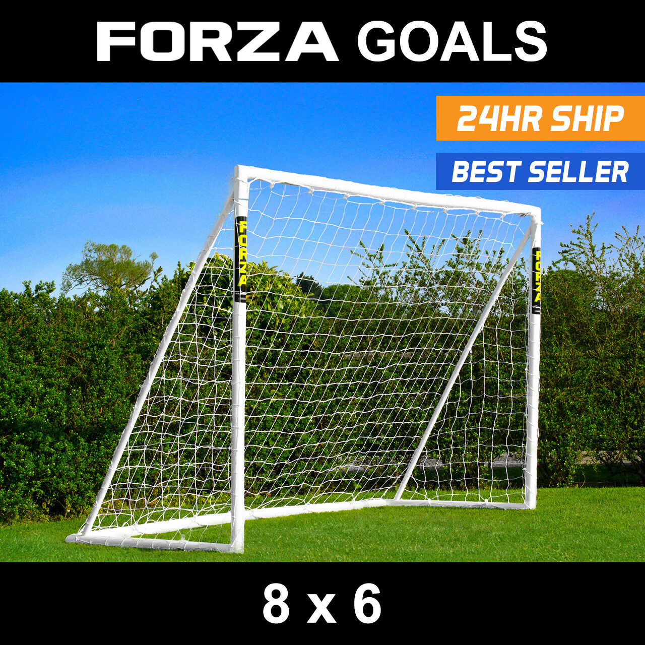 8 x 6 forza goal