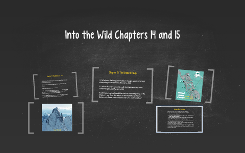 into the wild chapter 14 summary