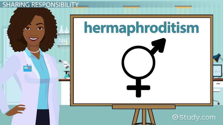 hermaphrodite video