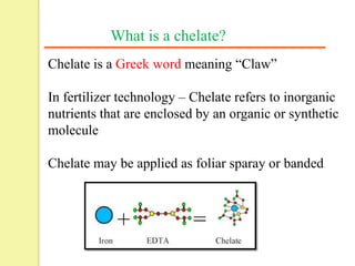 chelate meaning in telugu