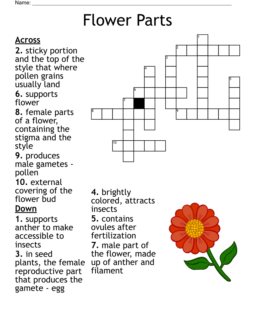 ornamental flowering plants crossword clue