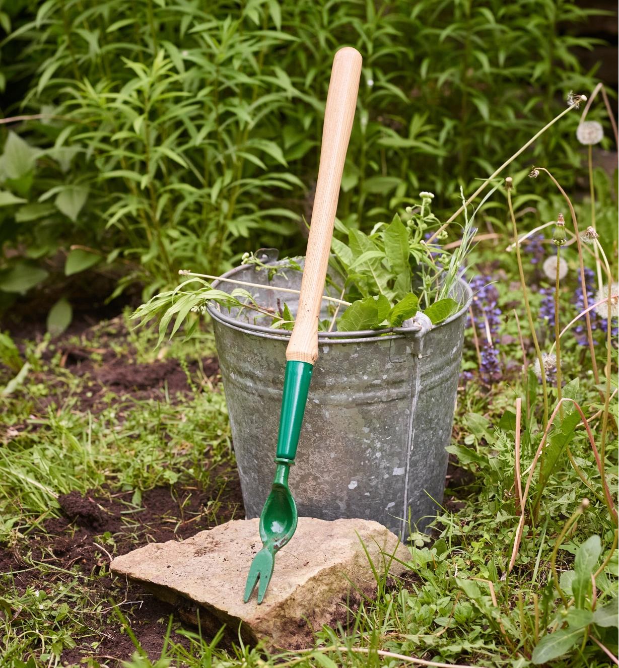 dandelion tool