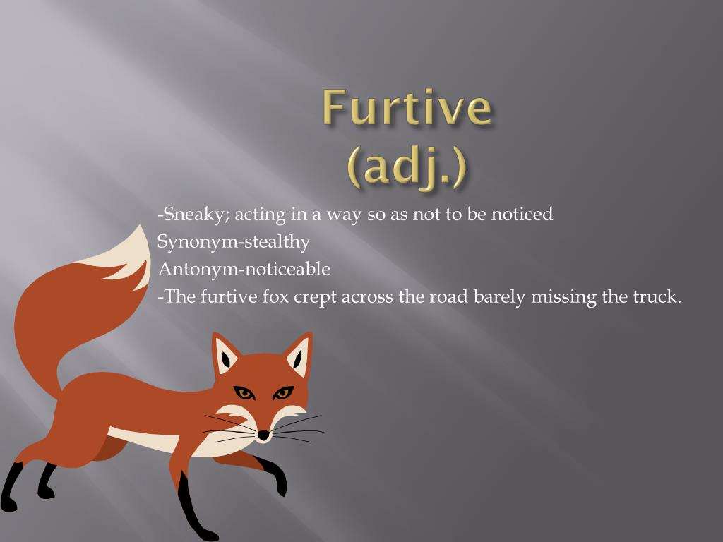 furtive synonym