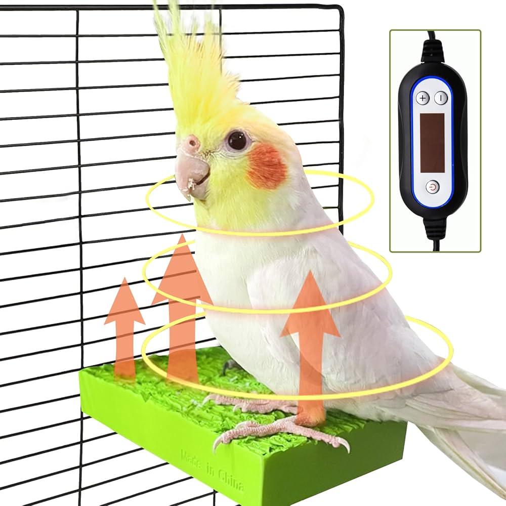 bird heater for cage