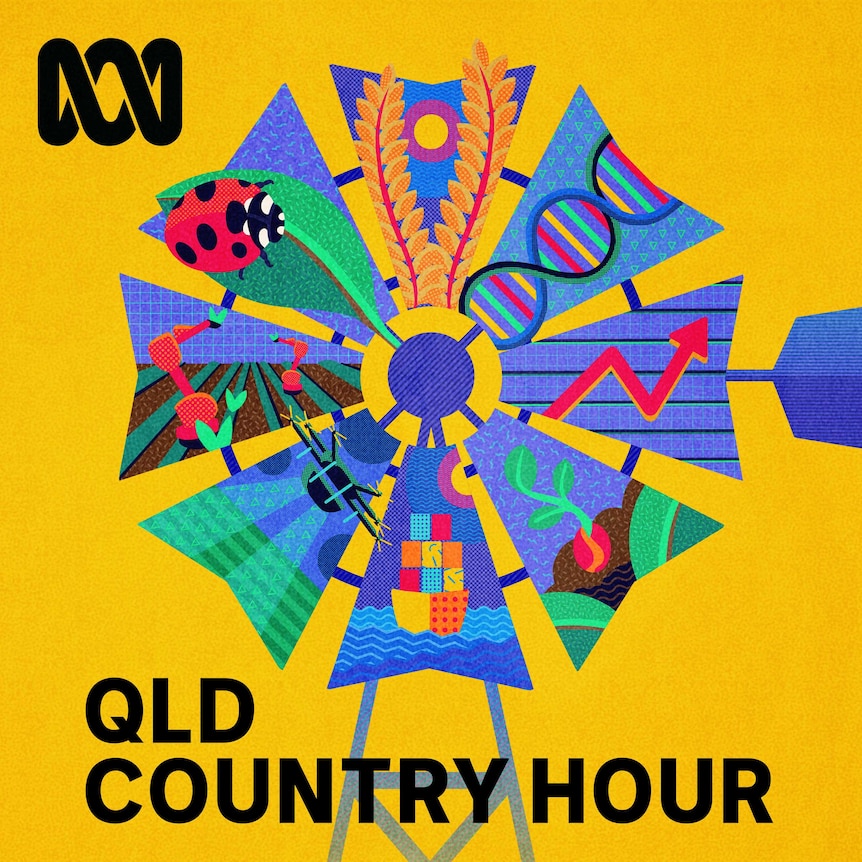 abc country hour listen live