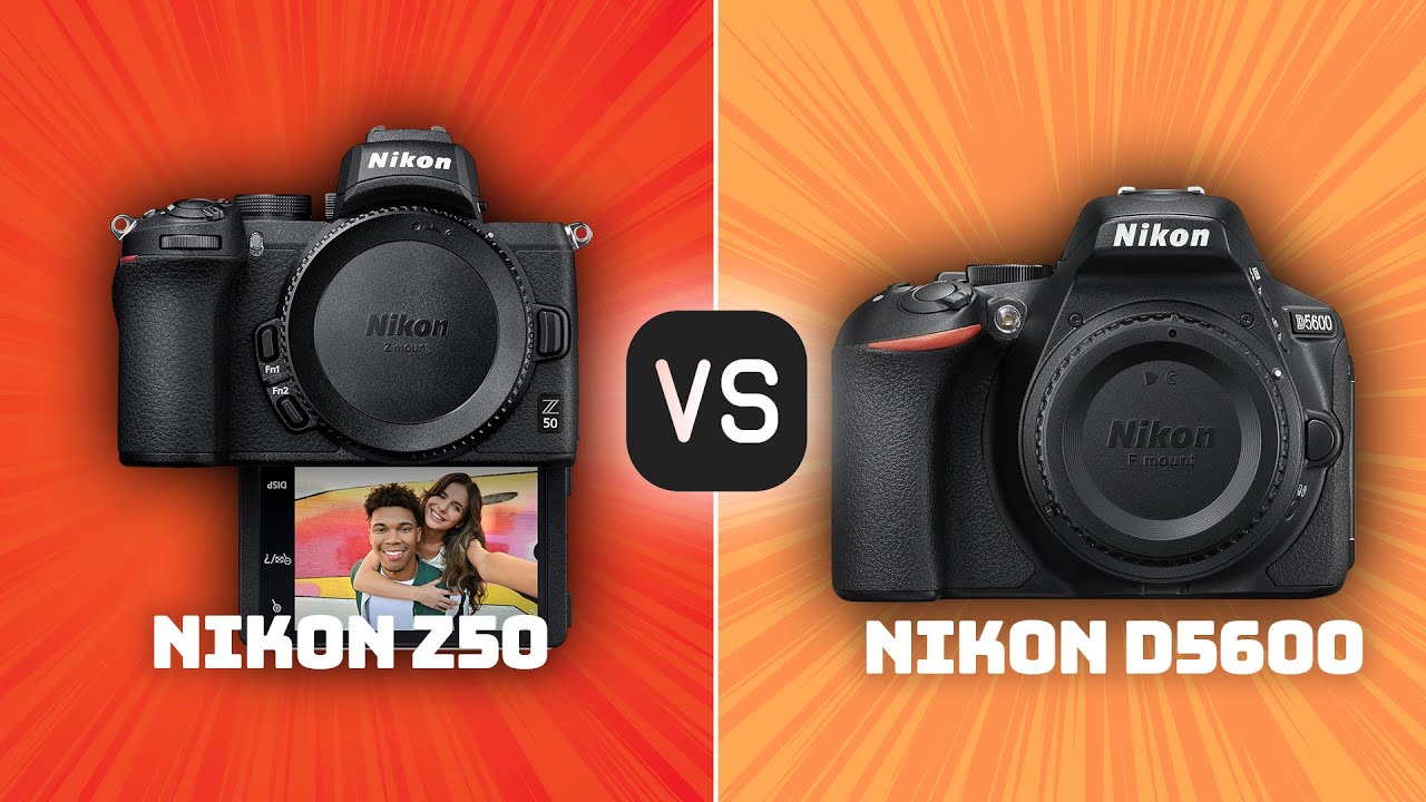 nikon z50 vs nikon d5600