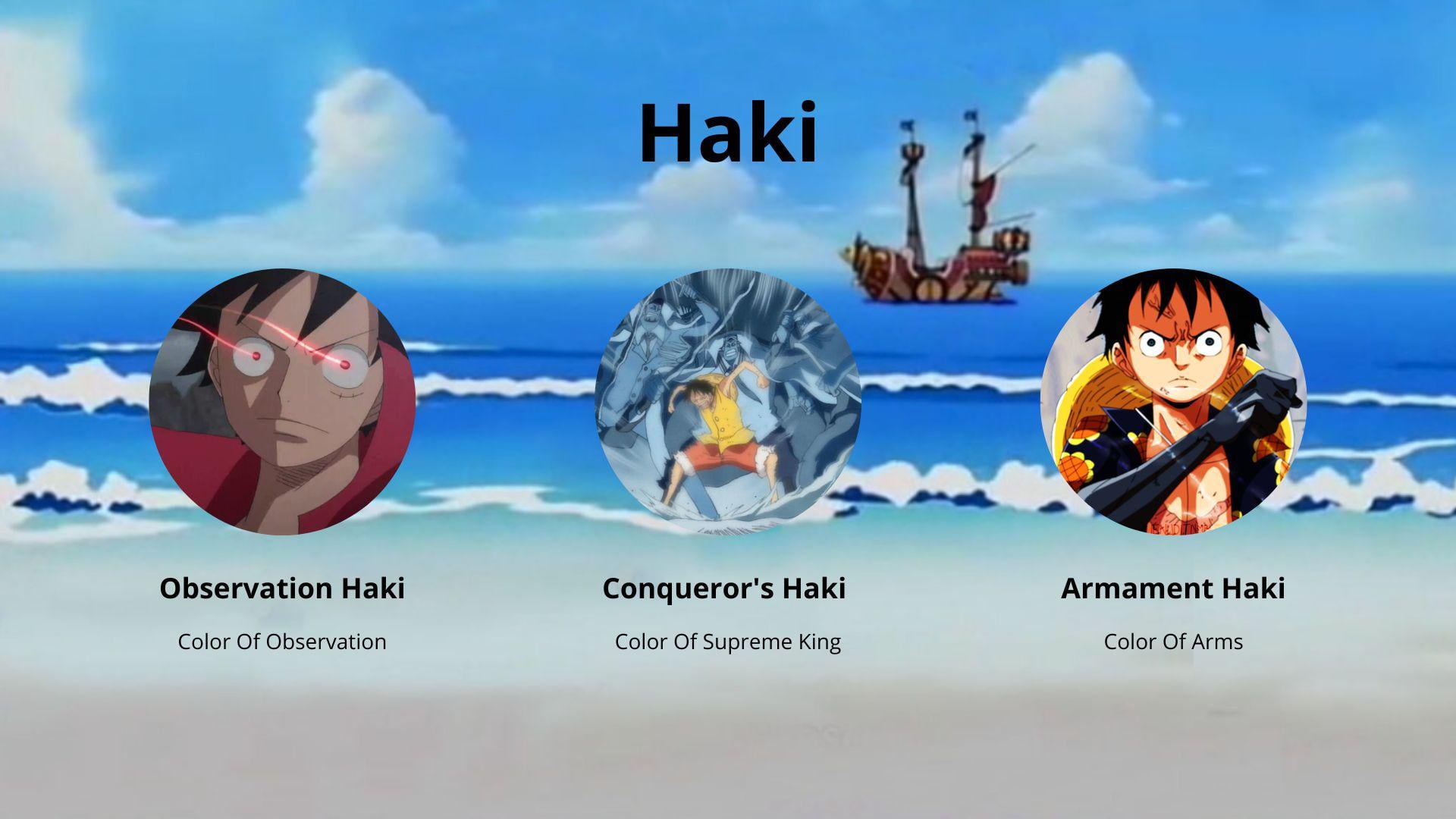 haki one piece meaning