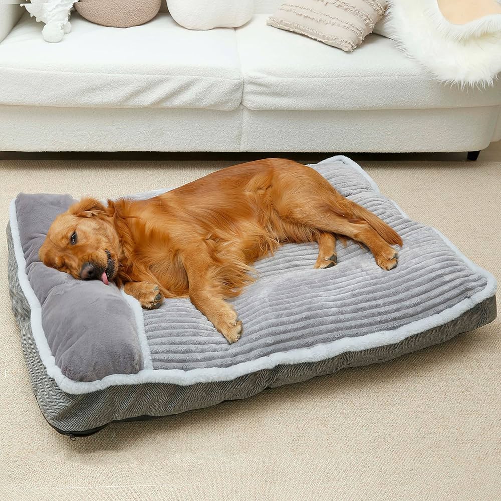 big dog beds amazon