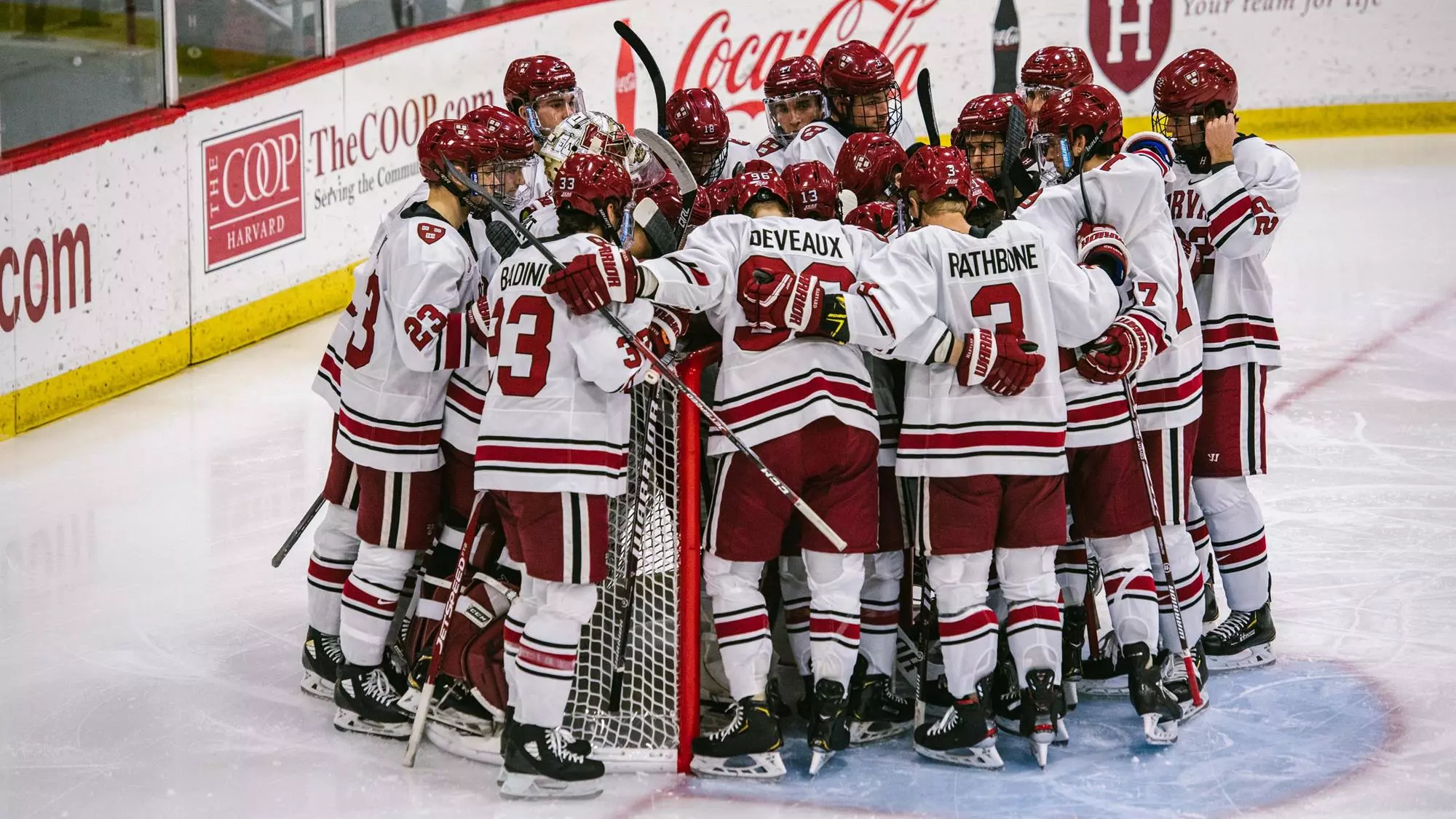 harvard hockey roster