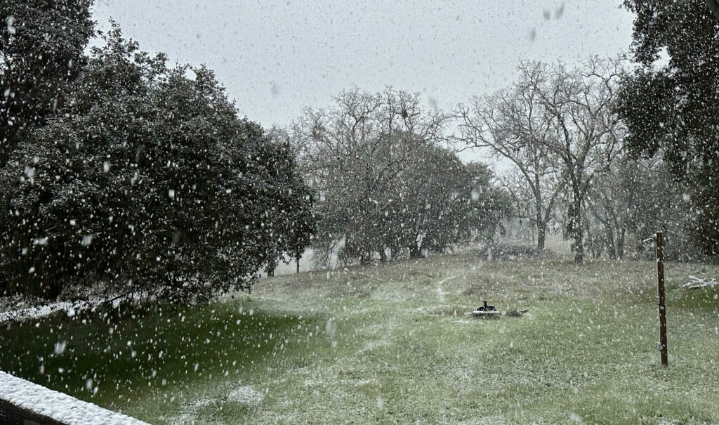 rain total san luis obispo