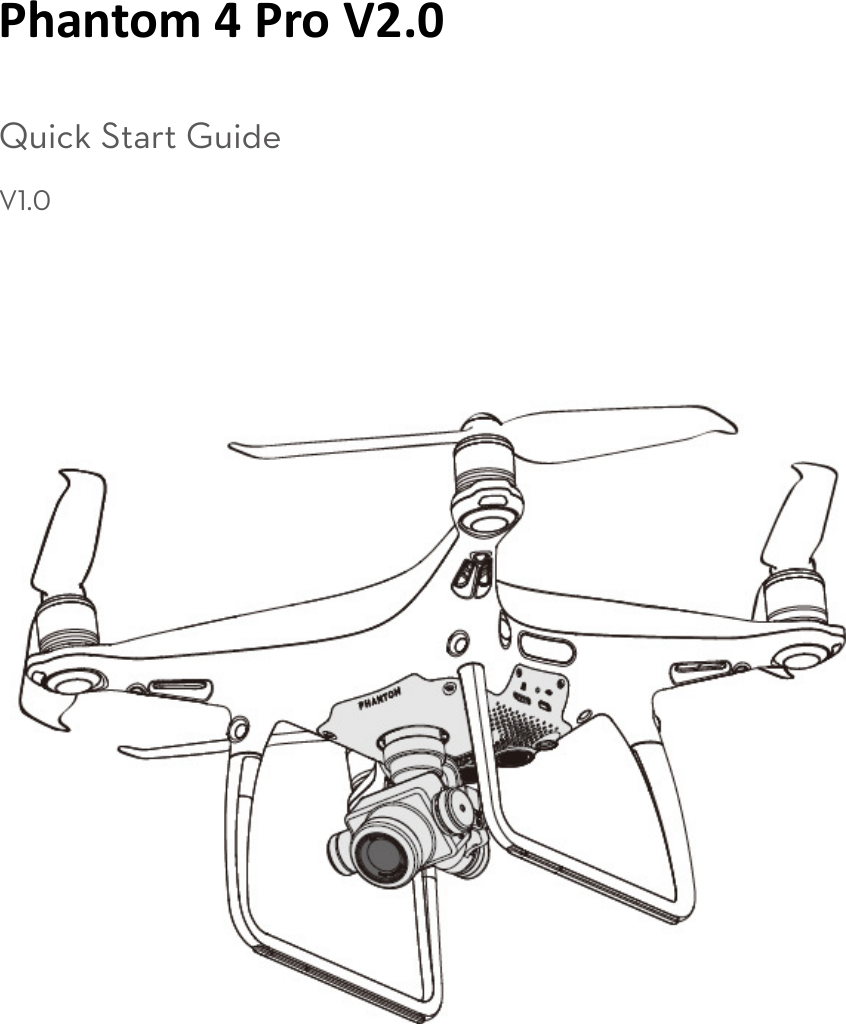 dji phantom 4 pro manual