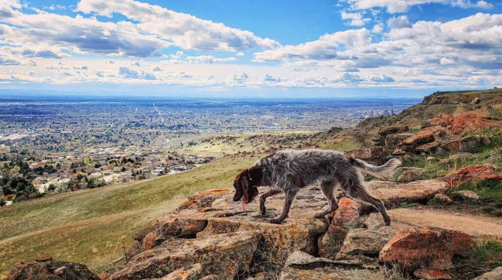 warm springs mesa boise