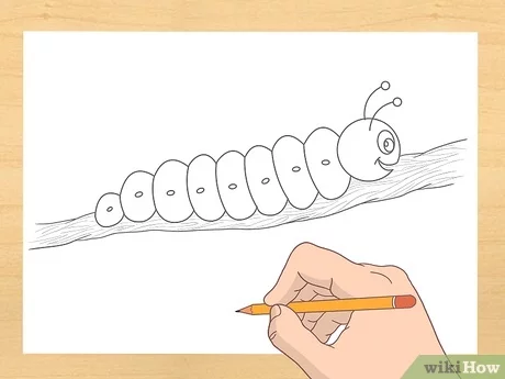 caterpillar drawing images